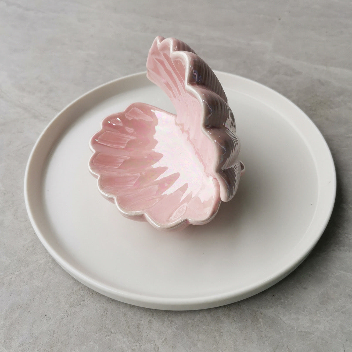Mini Shell Jewelry Tray Decorative Necklace Display & Soap Dish Minimalist Bathroom Ornament & Gift Accessories