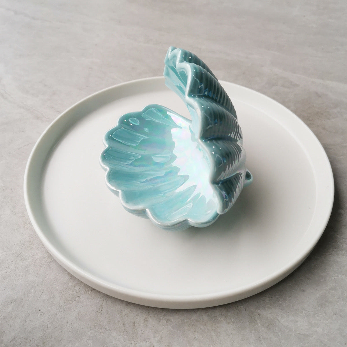 Mini Shell Jewelry Tray Decorative Necklace Display & Soap Dish Minimalist Bathroom Ornament & Gift Accessories