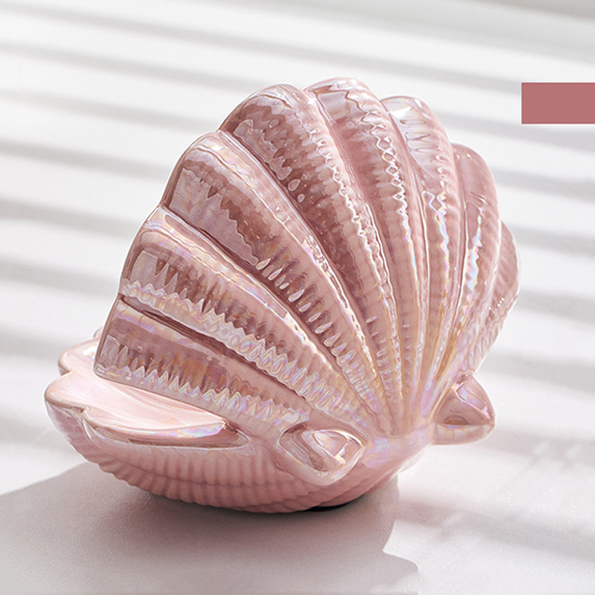 Mini Shell Jewelry Tray Decorative Necklace Display & Soap Dish Minimalist Bathroom Ornament & Gift Accessories
